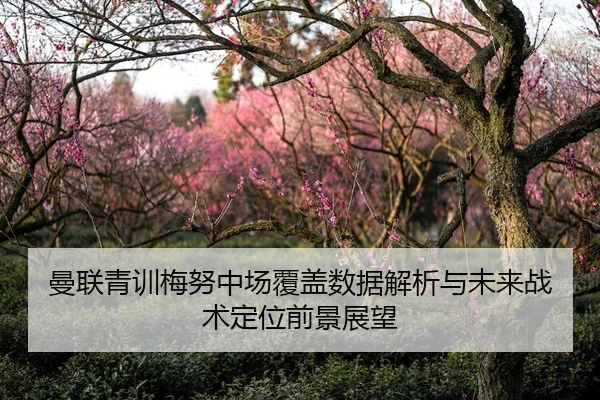 曼联青训梅努中场覆盖数据解析与未来战术定位前景展望